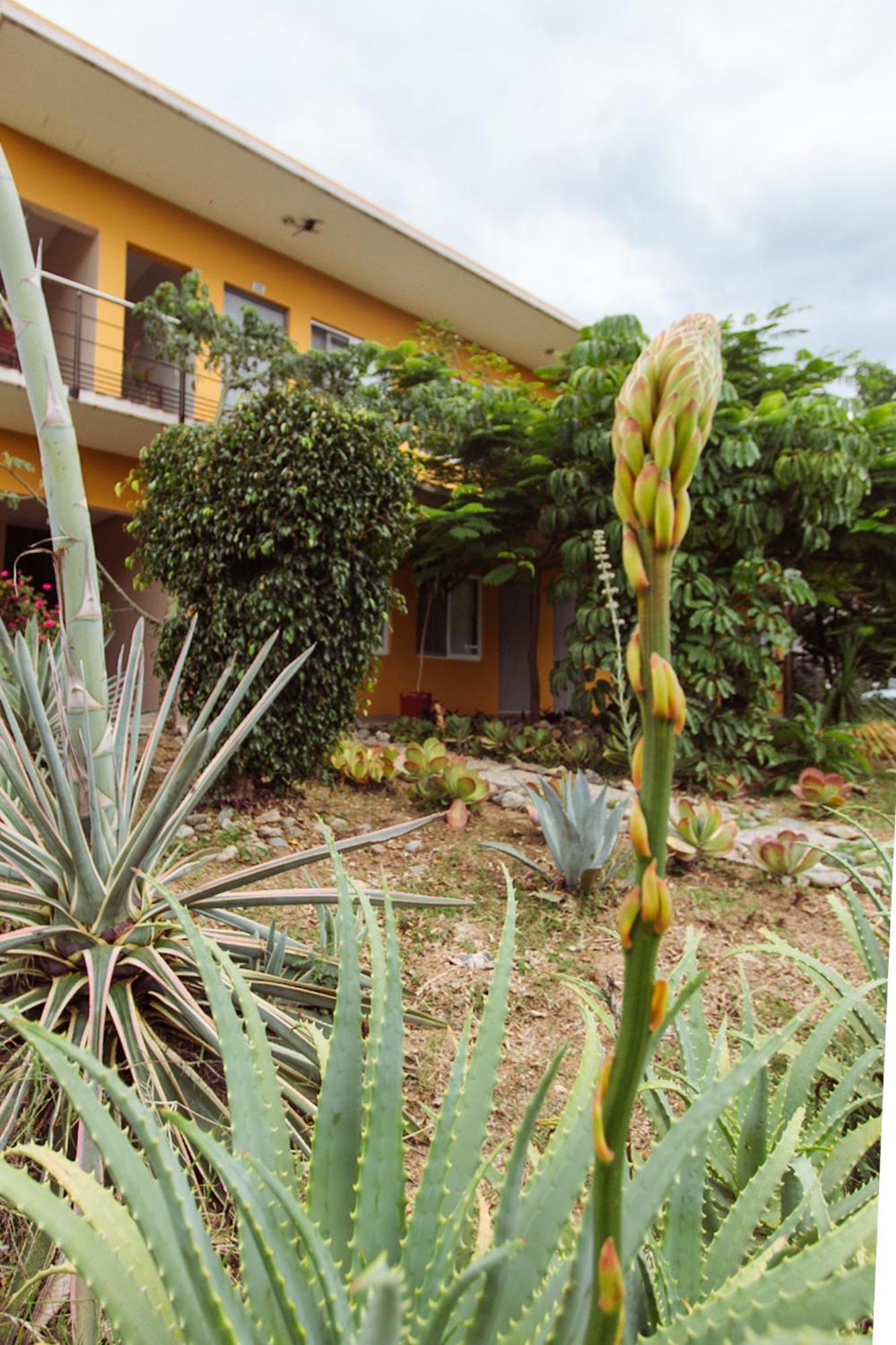 Hacienda Blanca Hotel Guiva San Pablo מראה חיצוני תמונה
